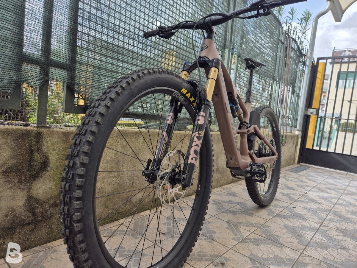 Megamo Native 10 2025
