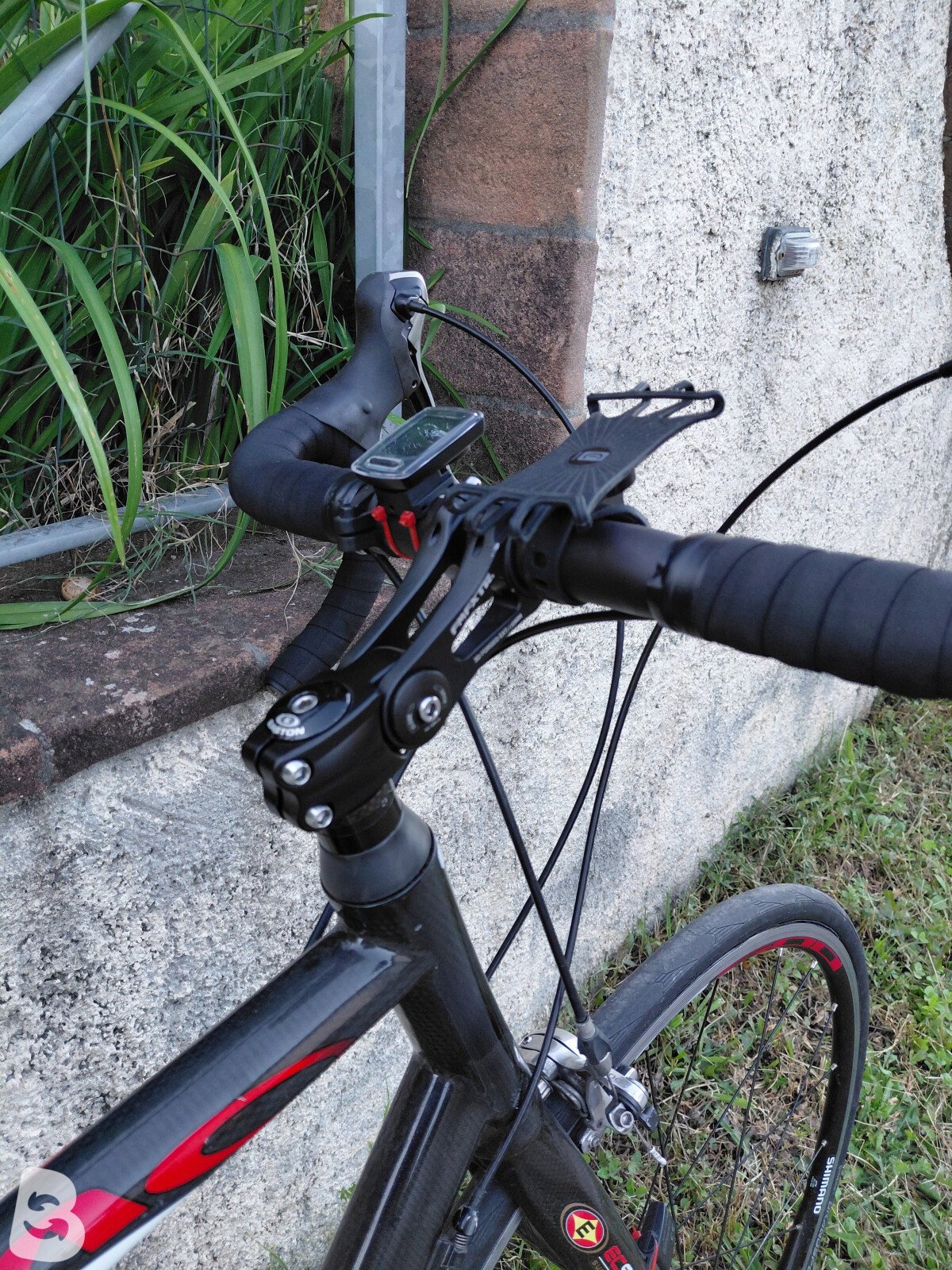 Olmo Zeffiro 2010