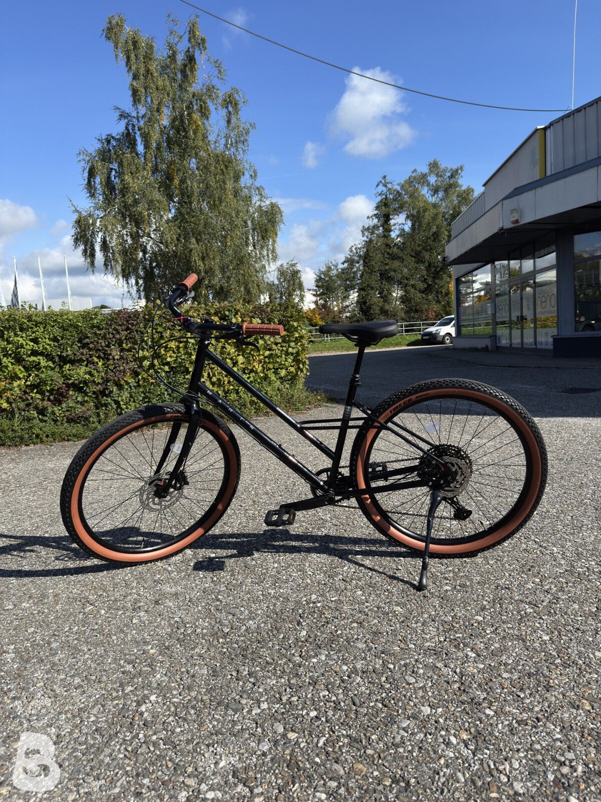 Marin larkspur 2 2025