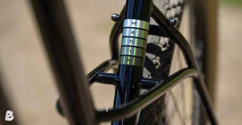 Marin larkspur 2 2025