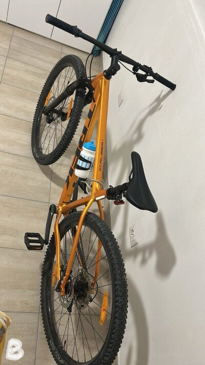 Trek X-Caliber 7 2021