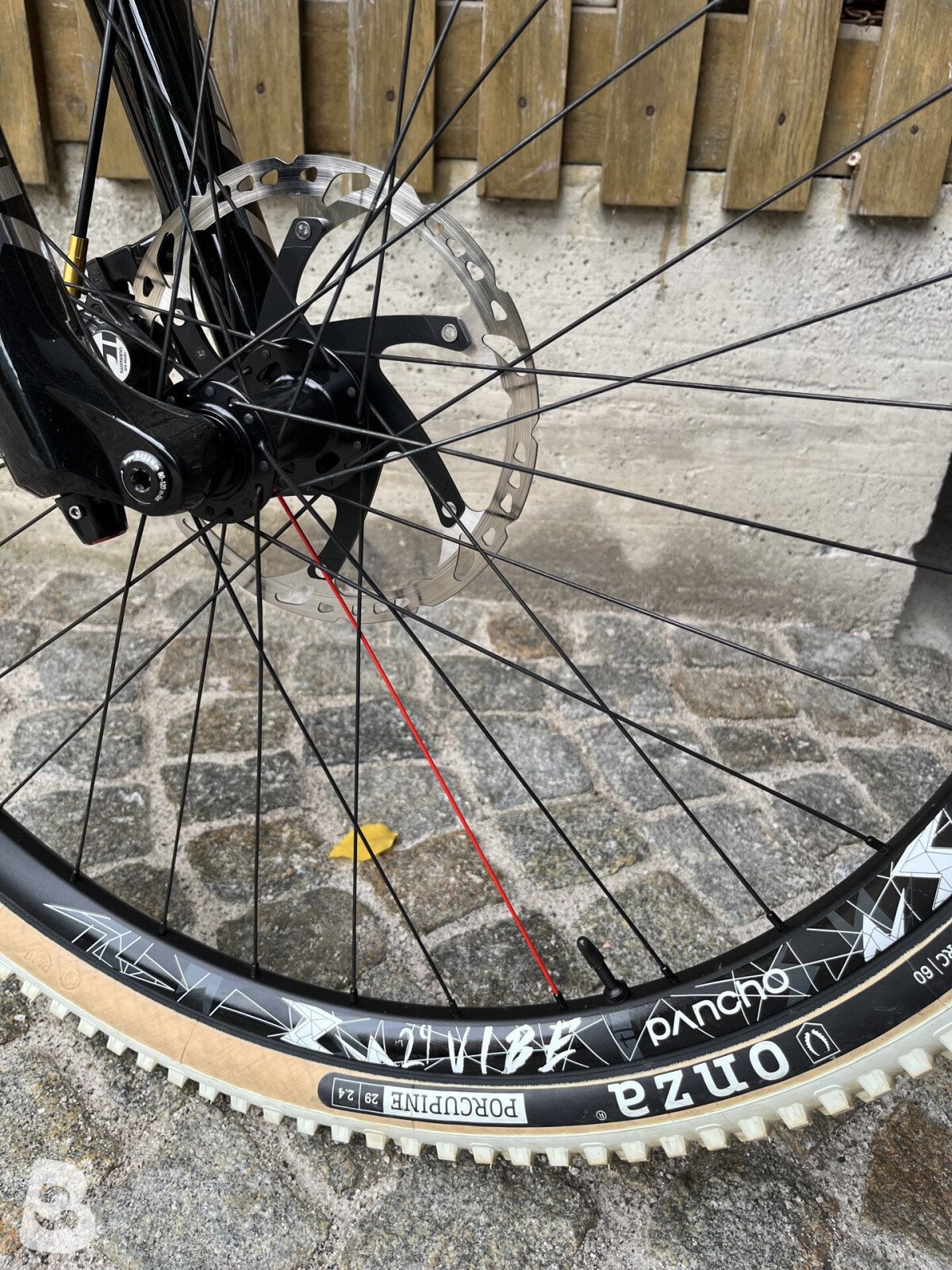 Transition Sentinel custom 2019