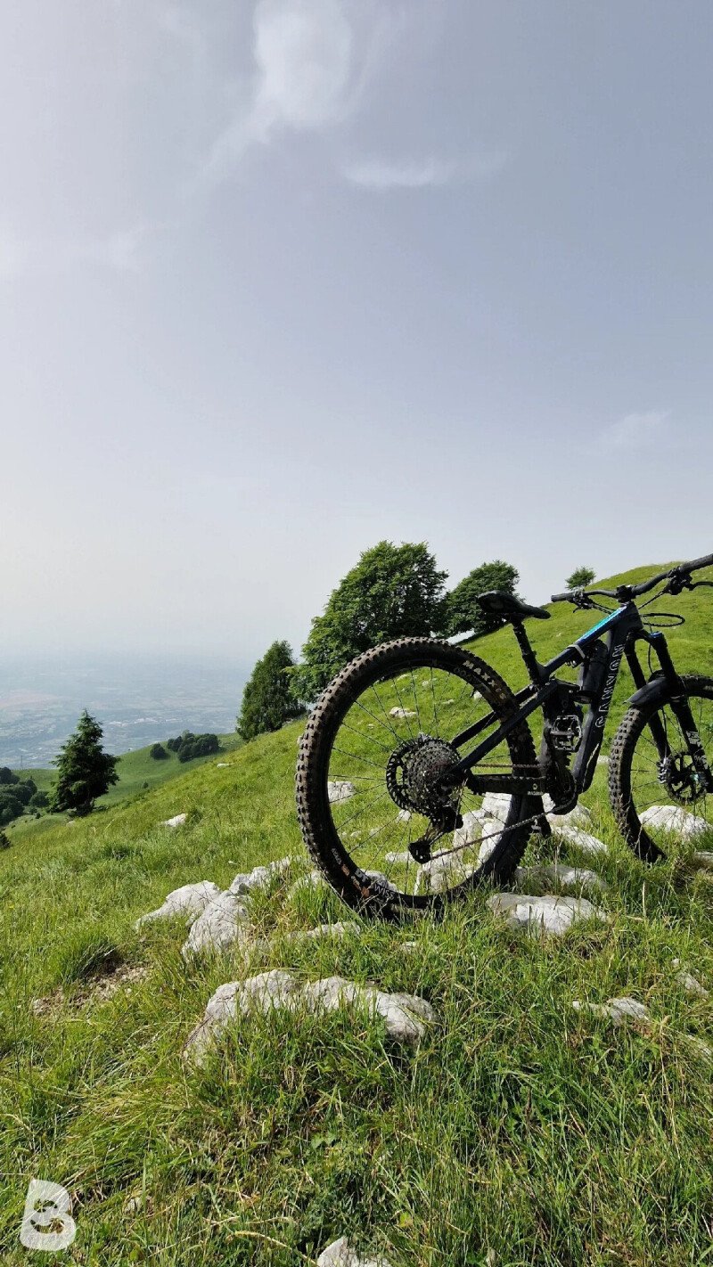 Canyon Strive CF 8.0 2021