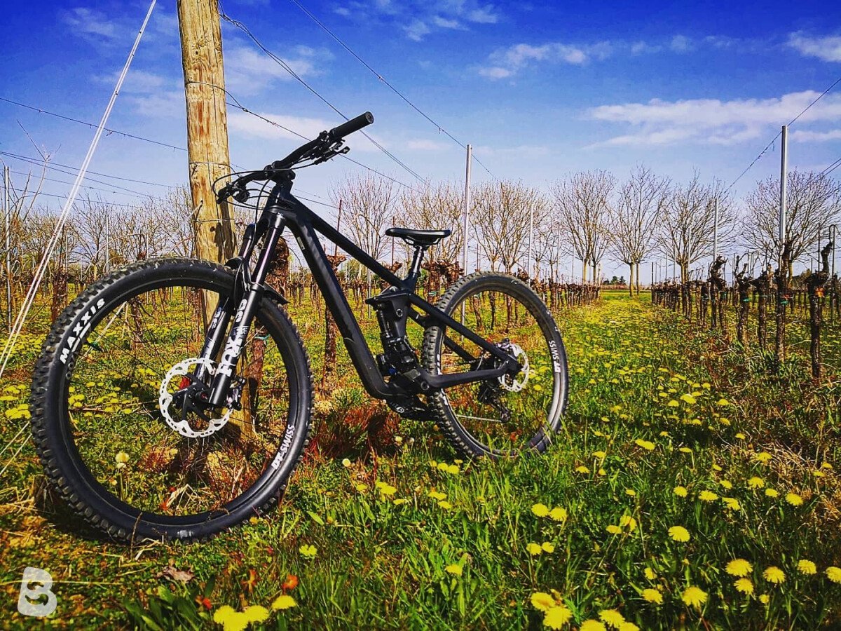 Canyon Strive CF 8.0 2021