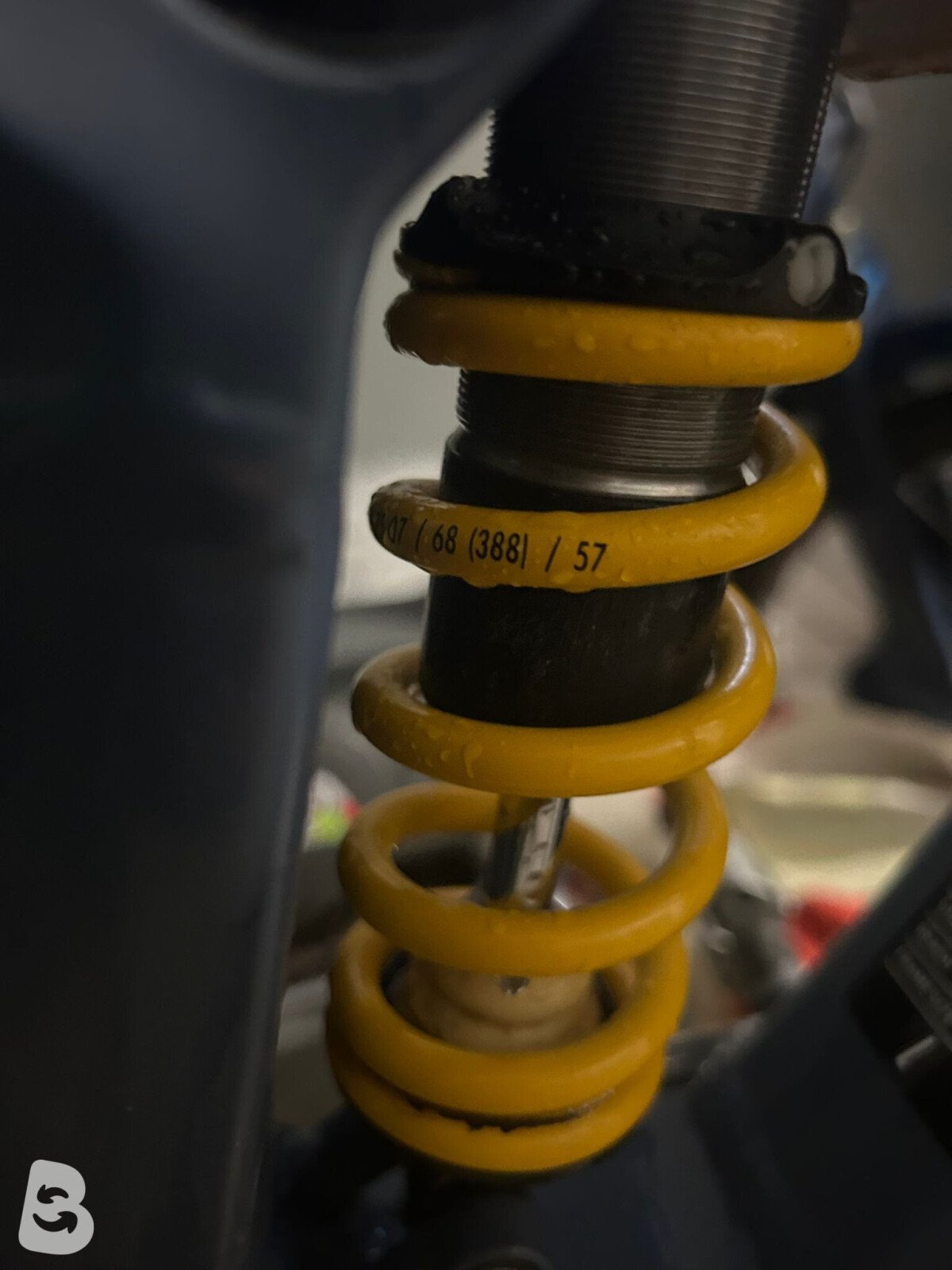 Focus Jam² 6.8 Nine 2020