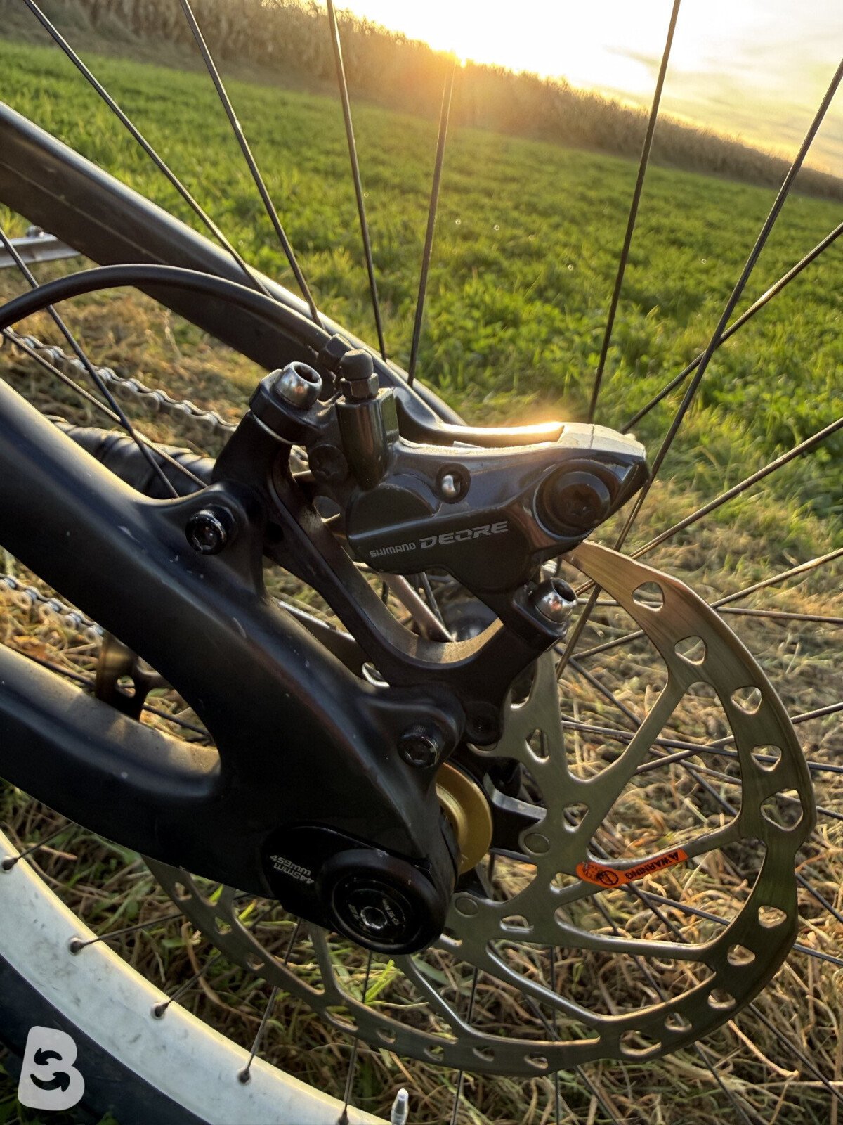 Propain Rage CF High End Custom 2019
