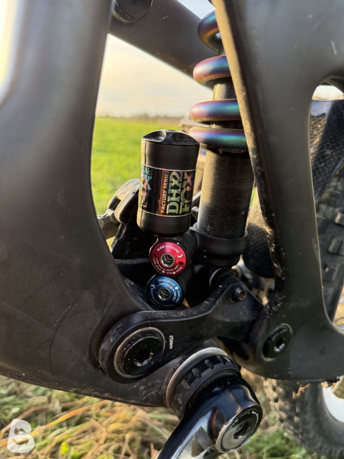 Propain Rage CF High End Custom 2019