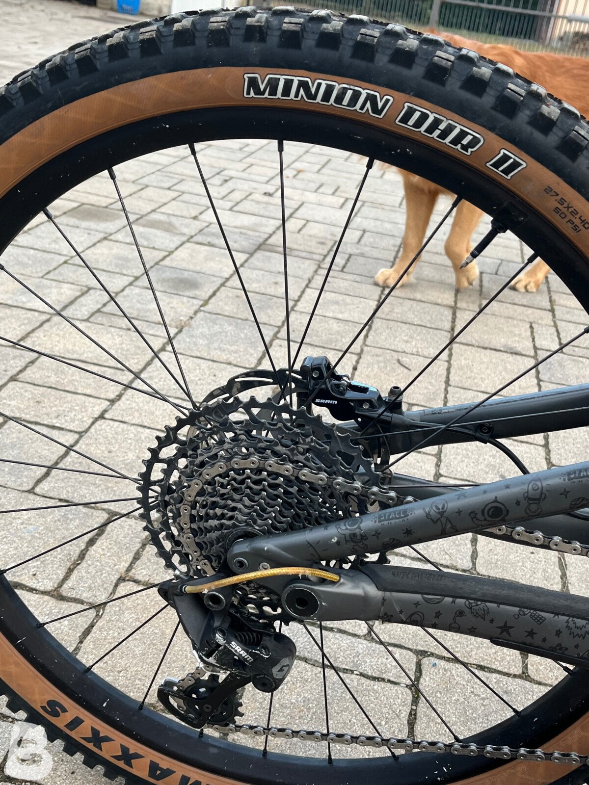 Specialized STATUS 2022