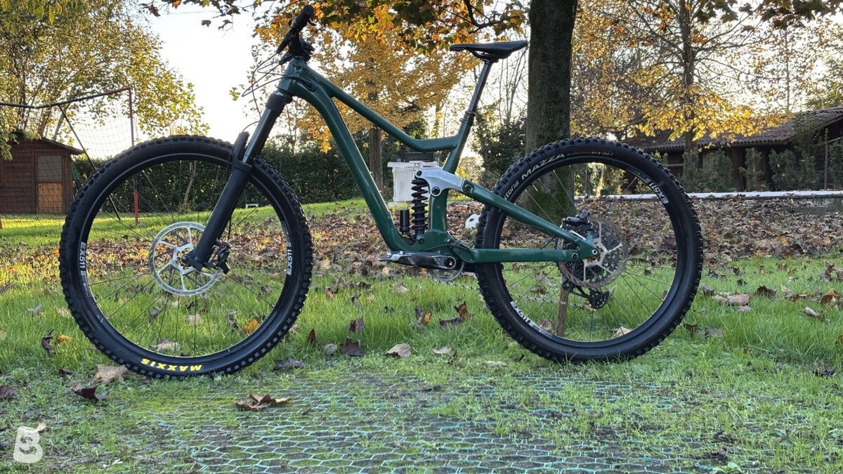 Scott ransom custom 2022