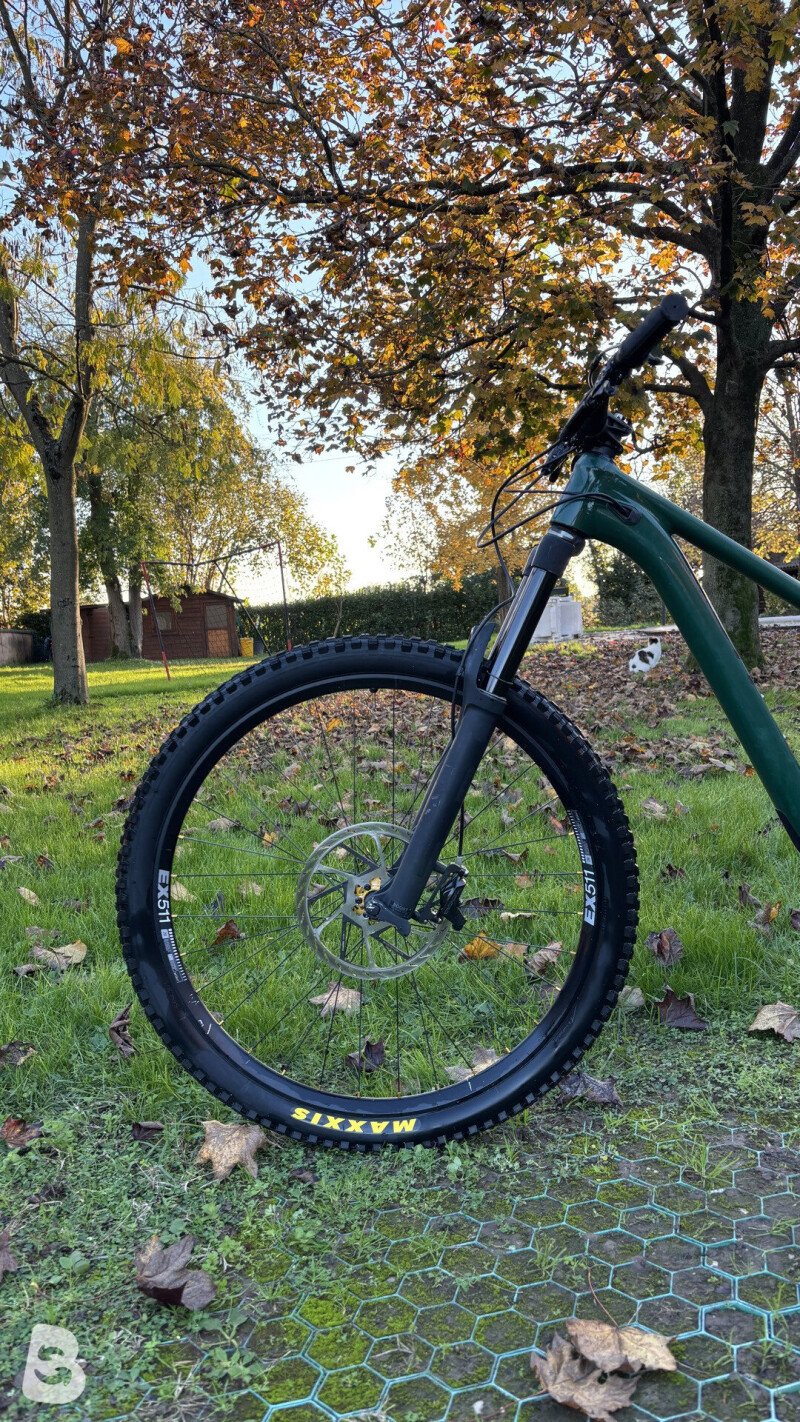 Scott ransom custom 2022