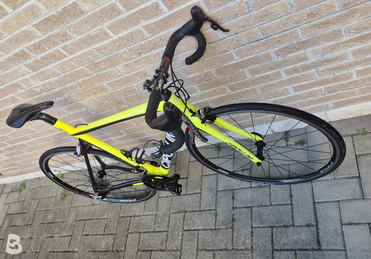 Cipollini Rb800 2018