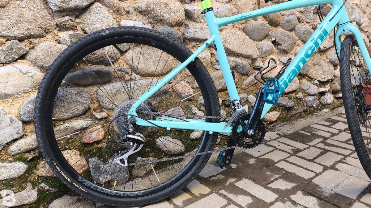Bianchi C Sport 2022