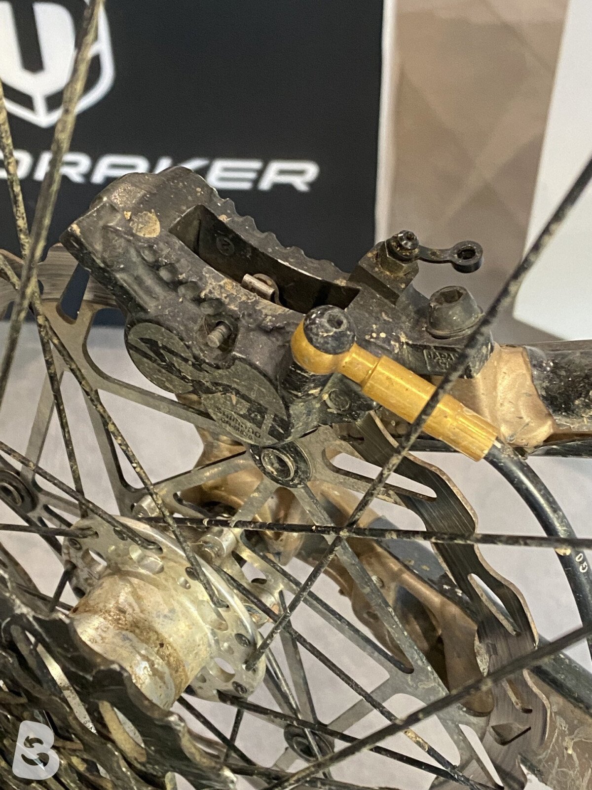 Orbea Wild 2024