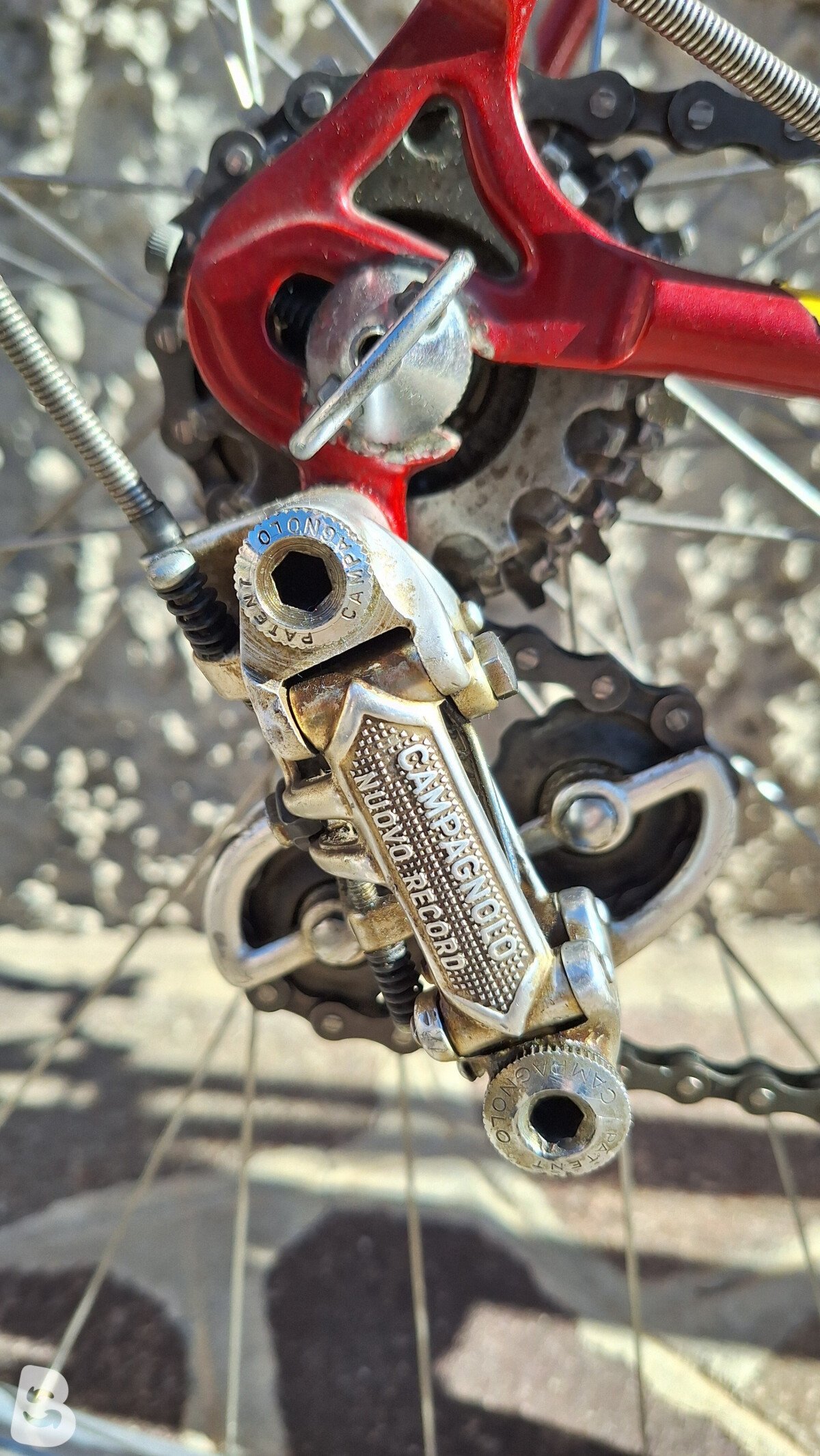 Colnago Super 1981