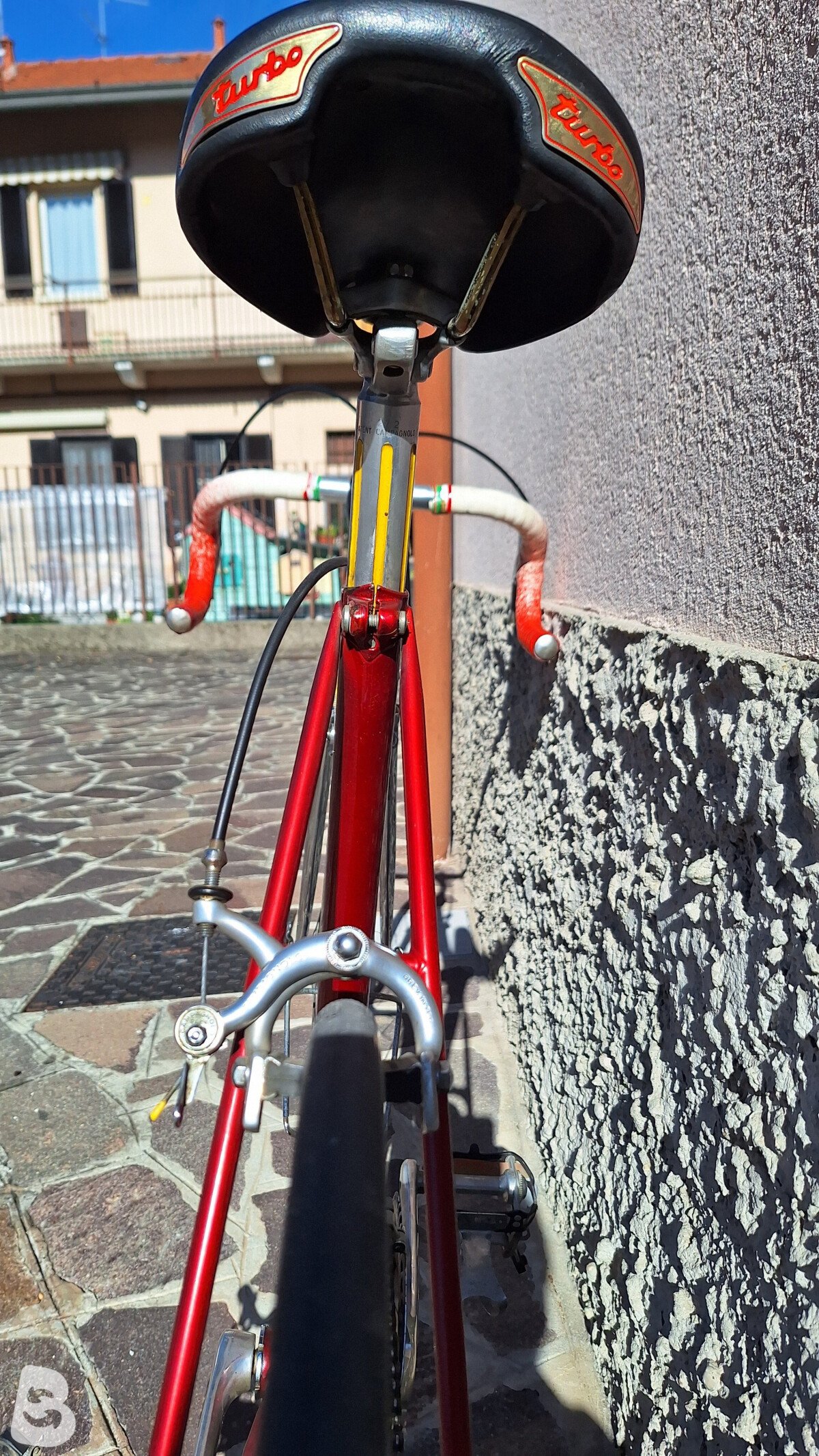 Colnago Super 1981