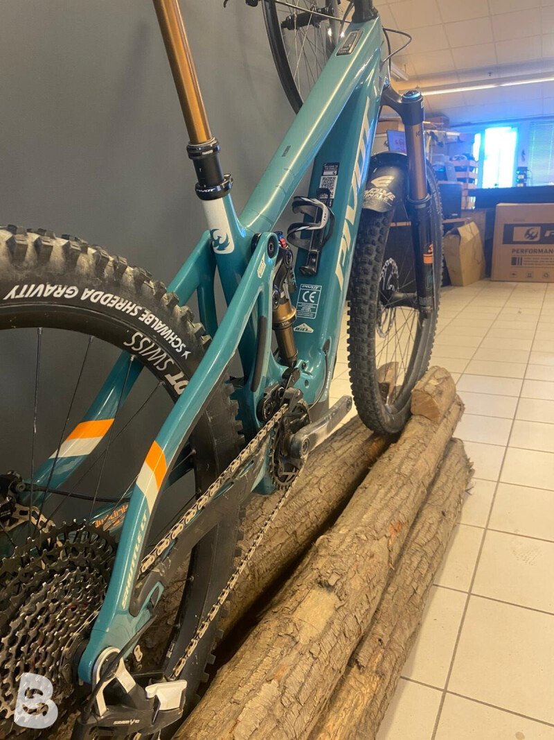 Pivot Shuttle LT 2025