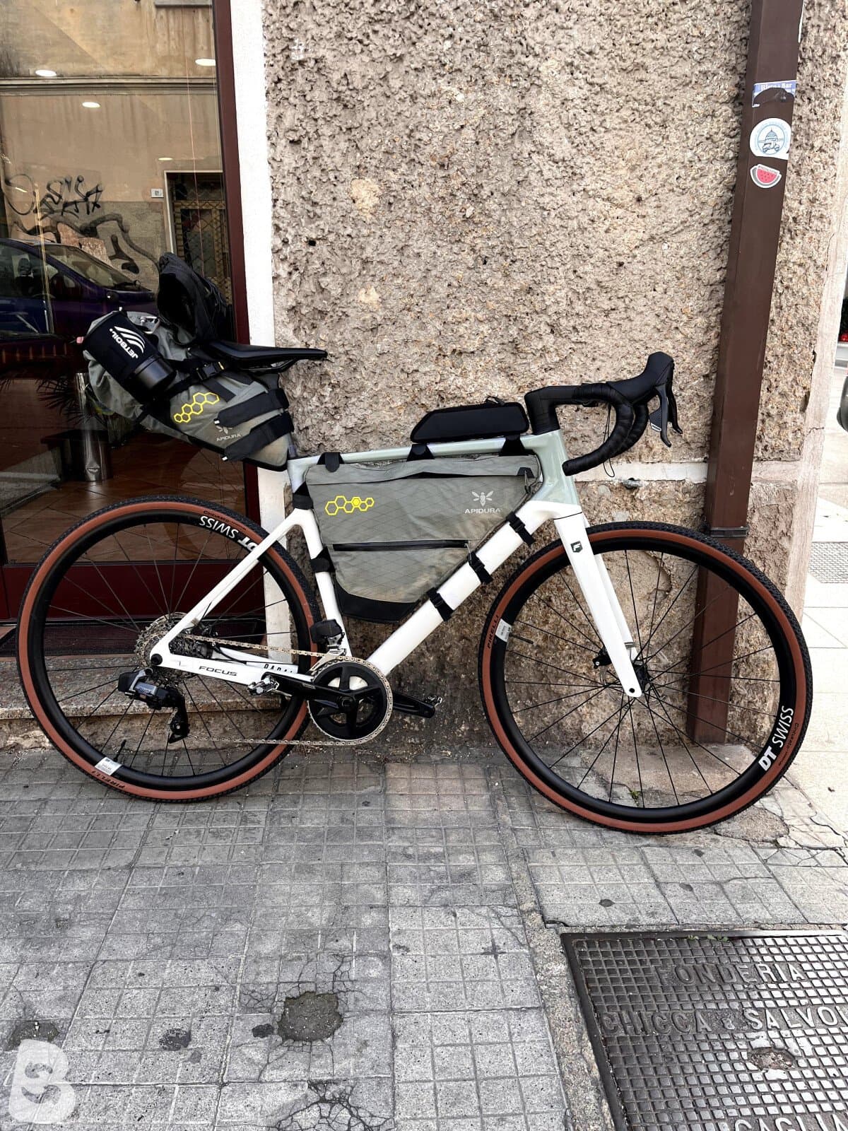Focus PARALANE 8.8 2024