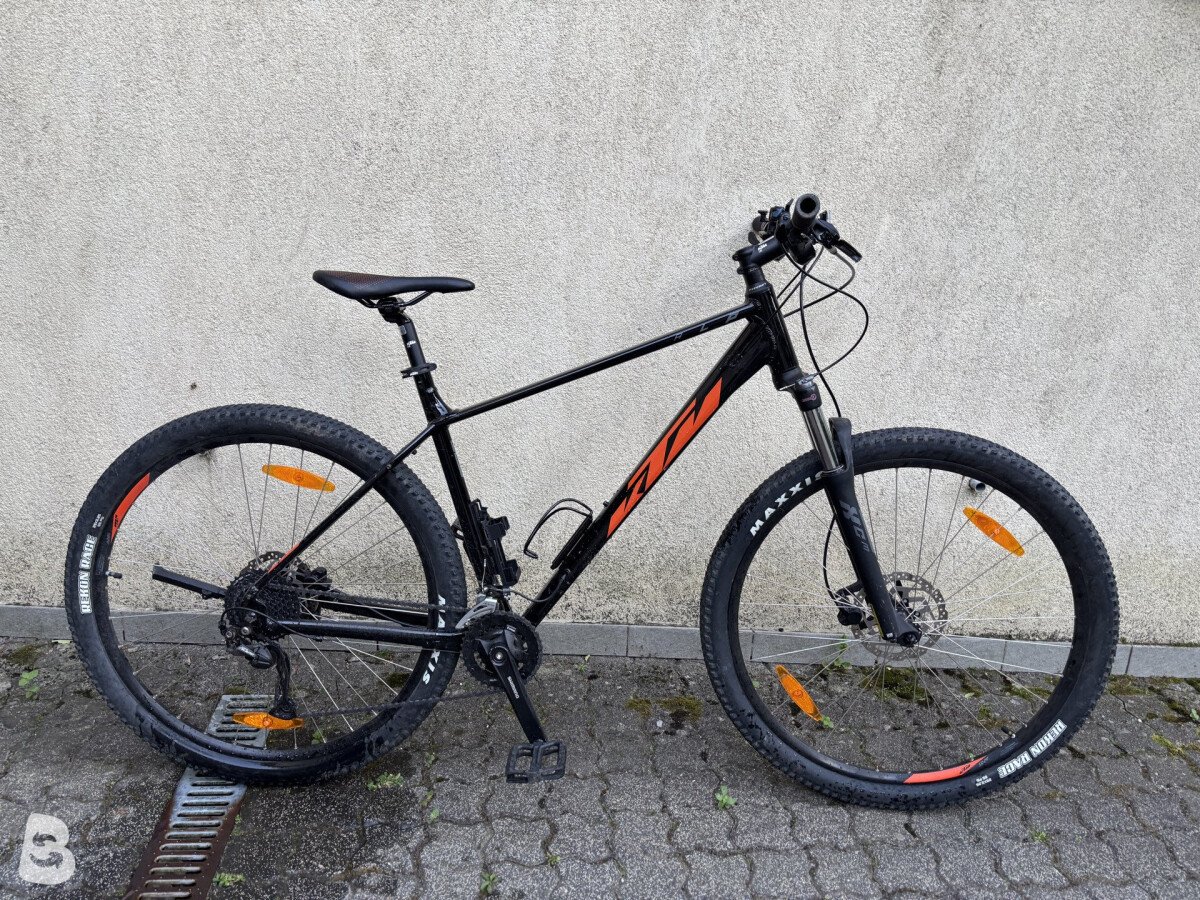 KTM Alp Comp 2023