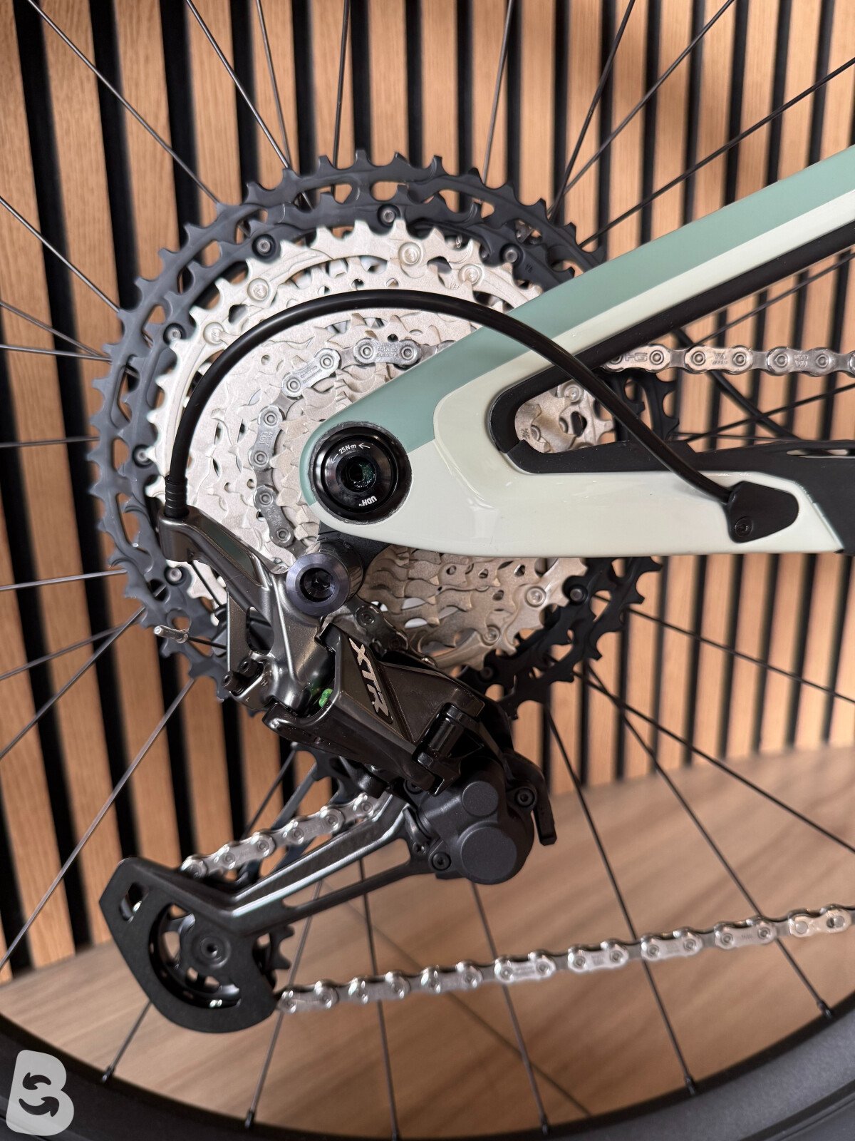 Pivot Trailcat LT Pro XT/XTR 2025