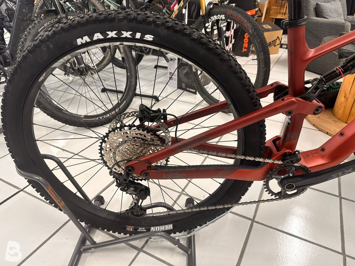 Megamo VITAE 2025