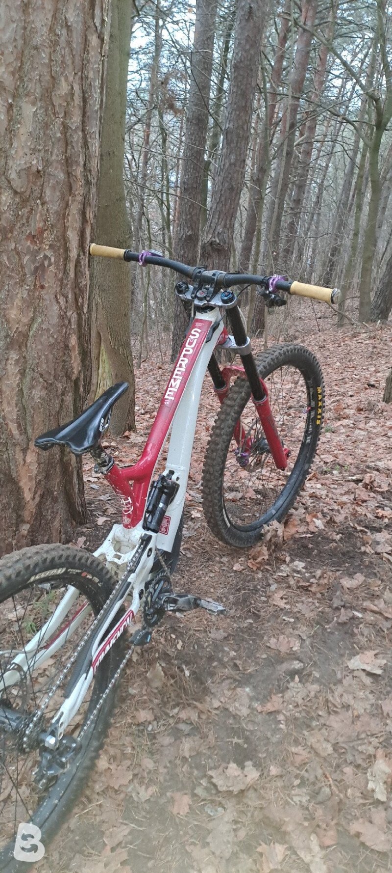 Commencal Supreme DH Team 2020
