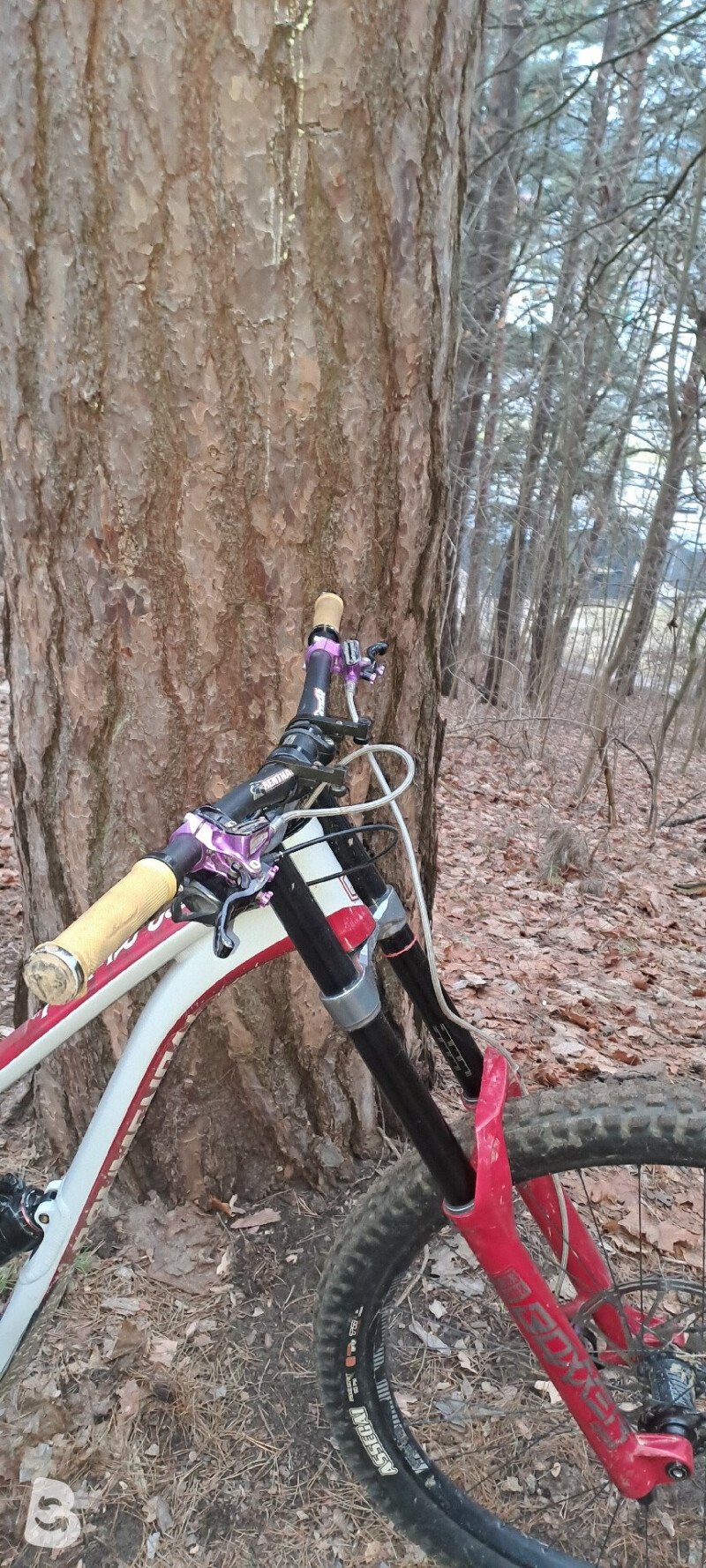 Commencal Supreme DH Team 2020