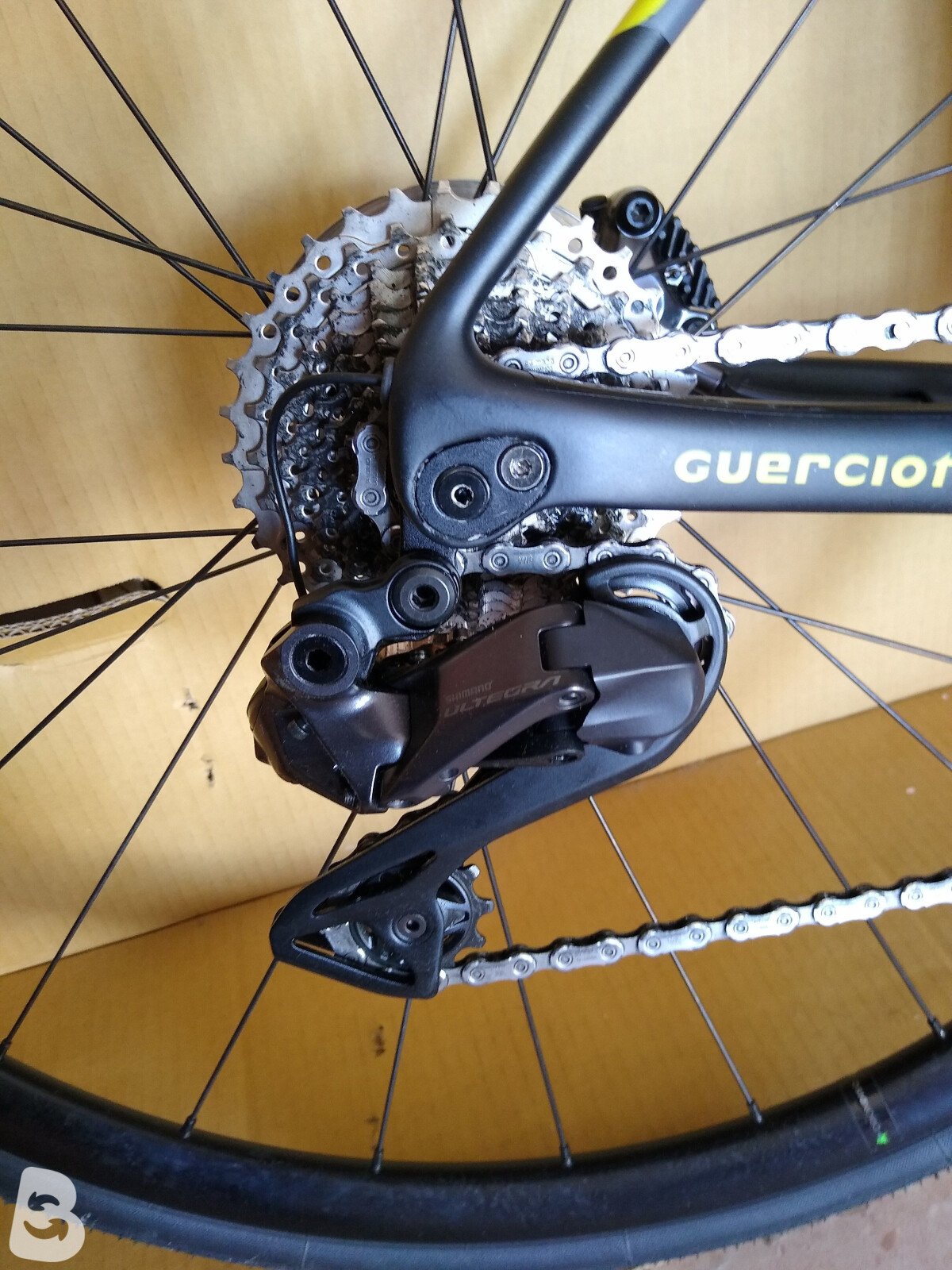 Guerciotti eclipse 2023