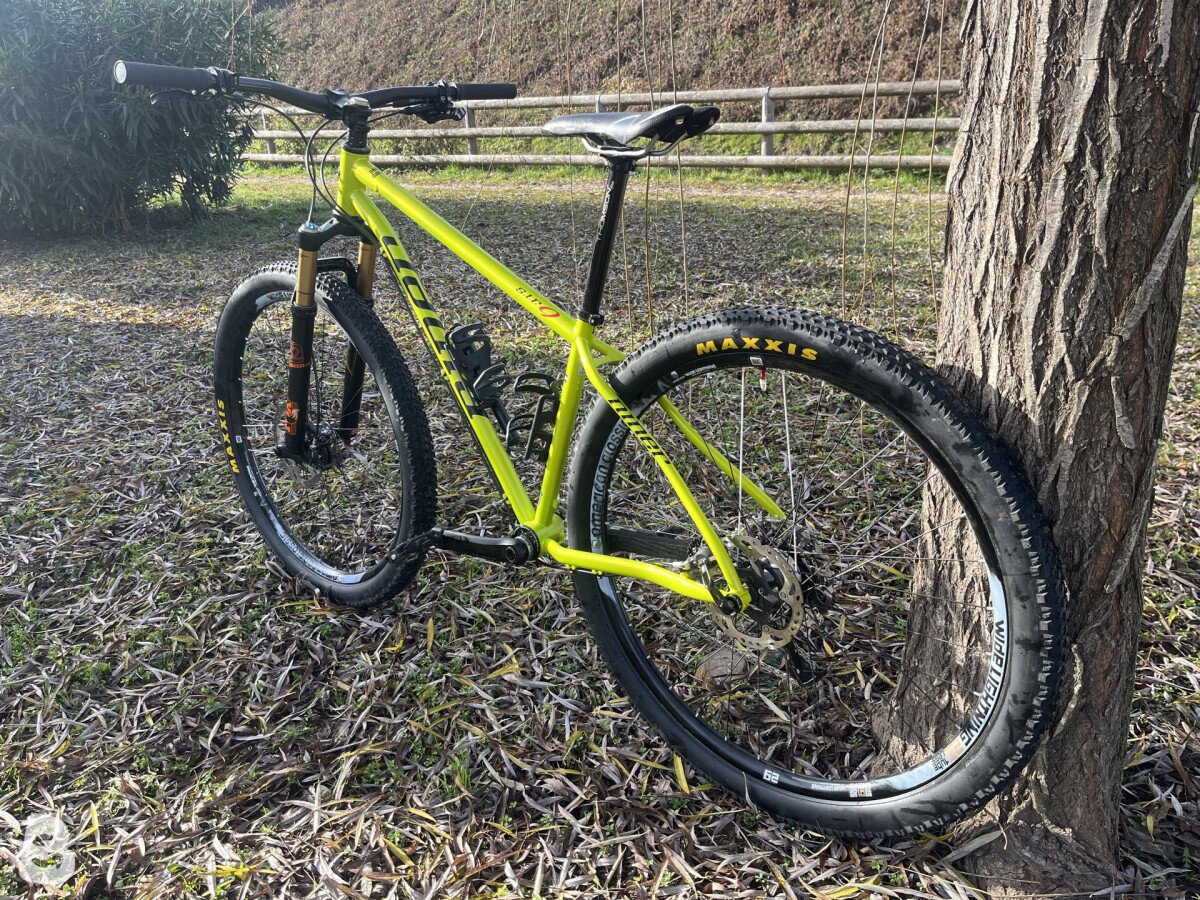 Niner sir 2015
