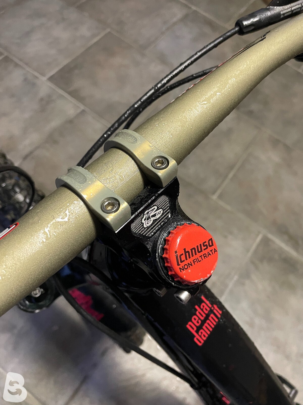 Niner wfo 9 2015