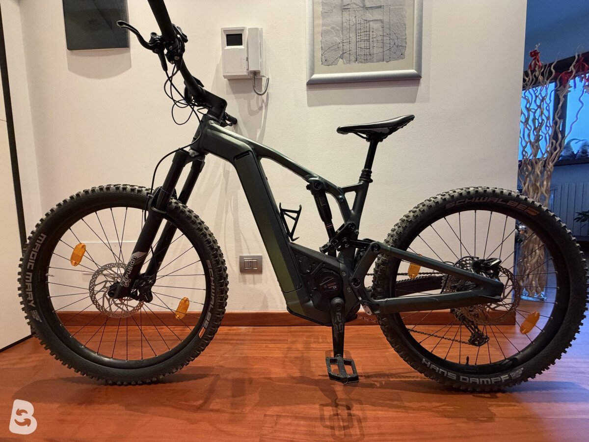 Bergamont E-Trailster Expert 2024