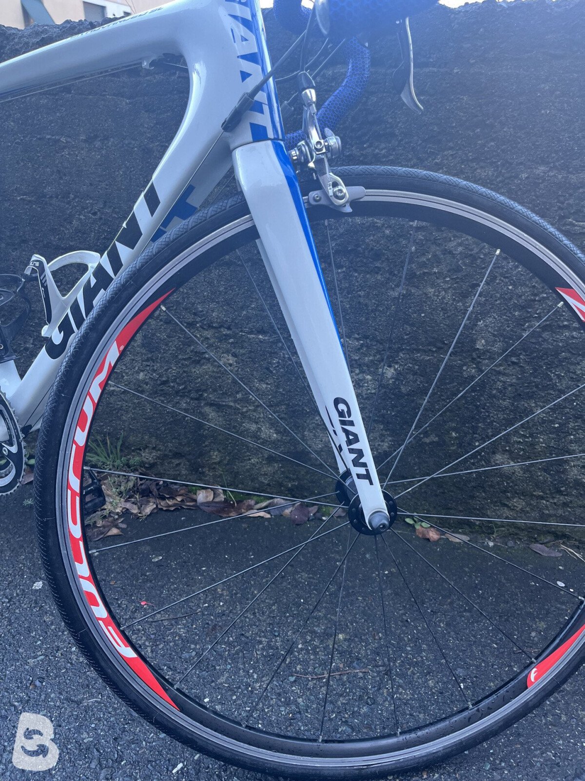 Giant Tcr