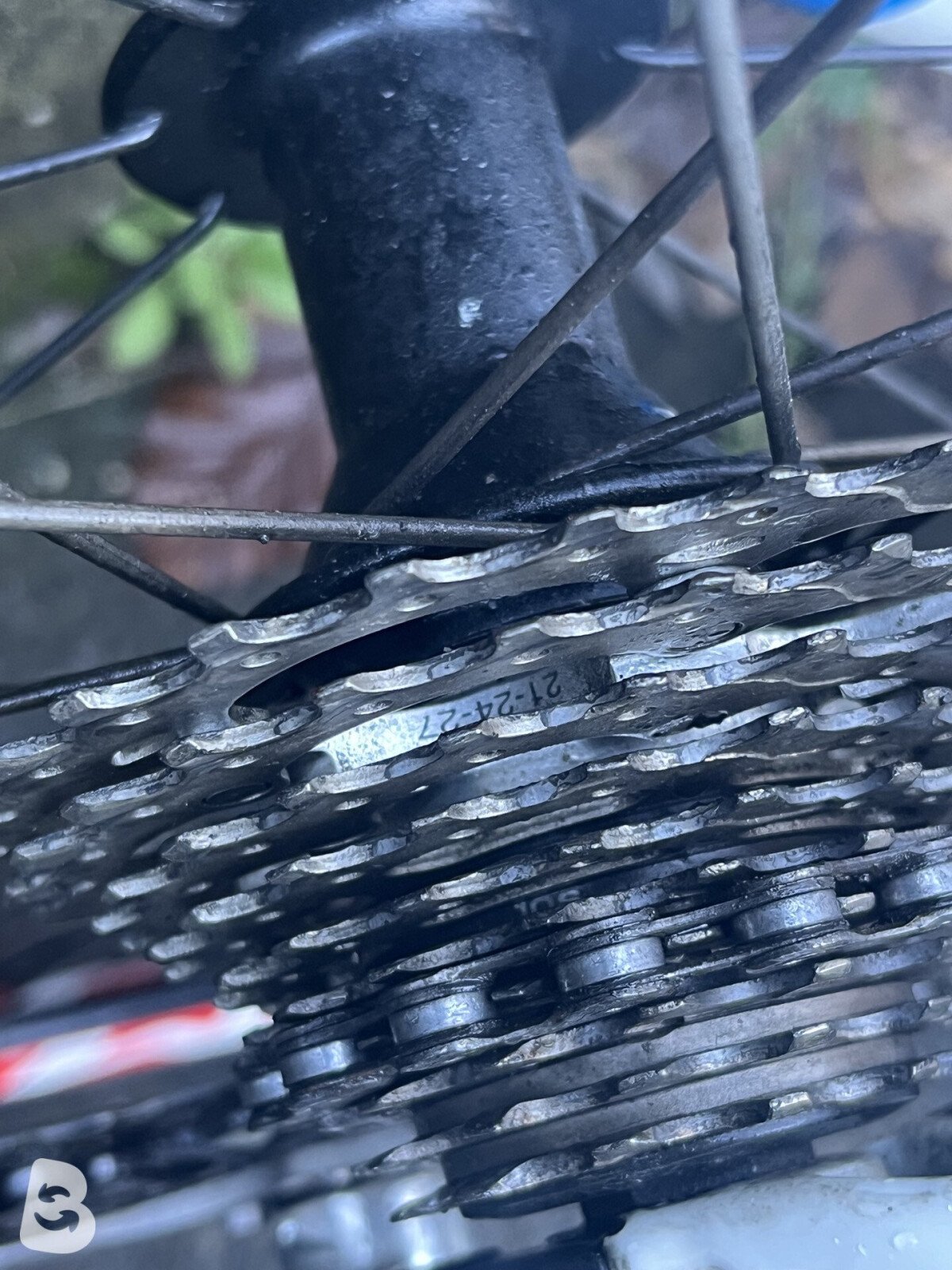 Giant Tcr