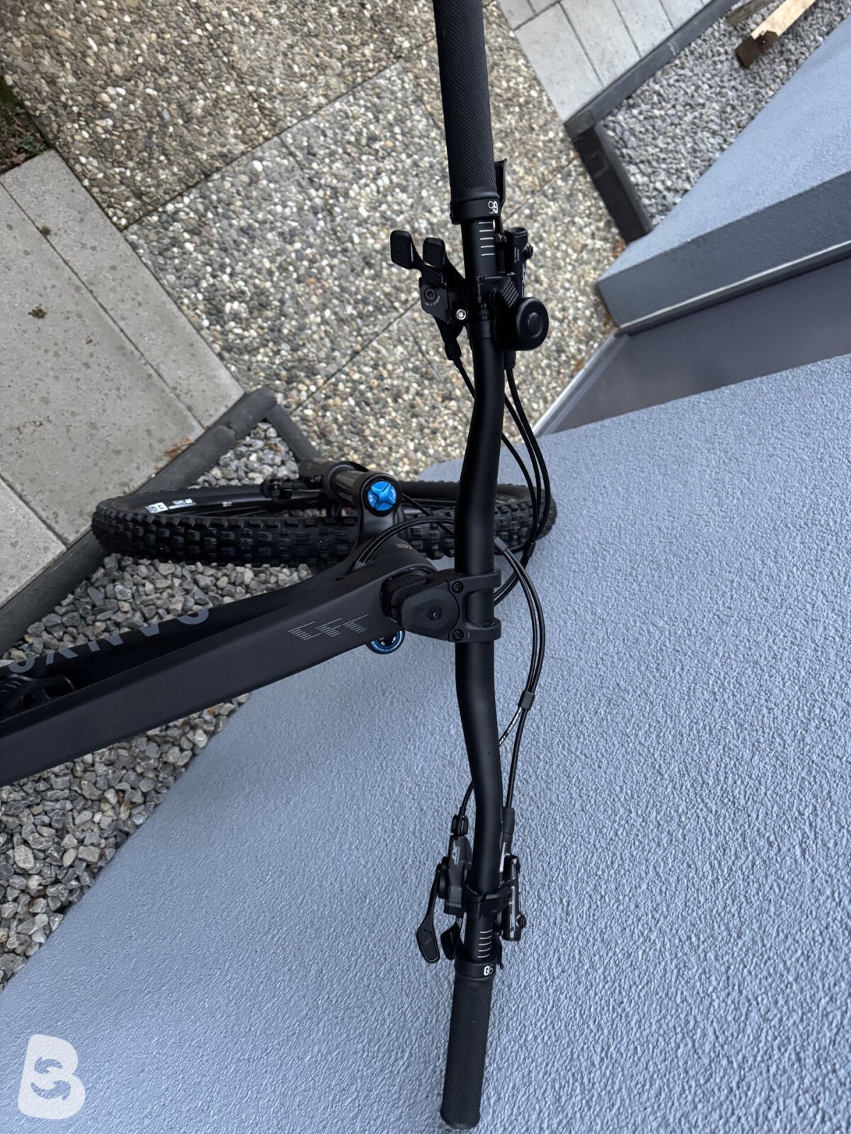 Canyon Strive CFR Underdog 2022