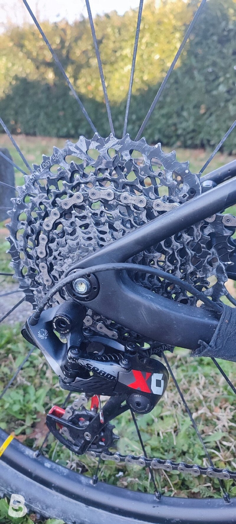 Olympia F1X 2019