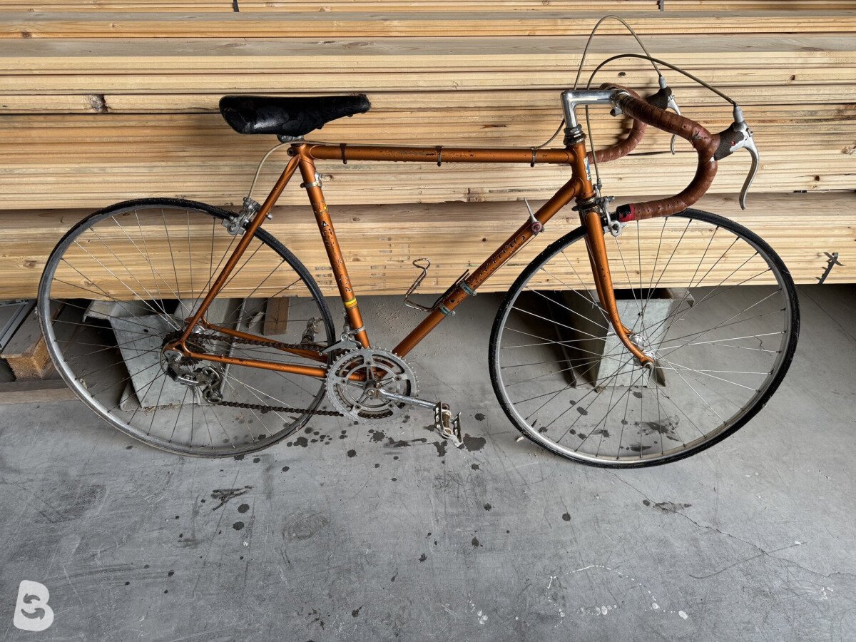 Adriatica Corsa