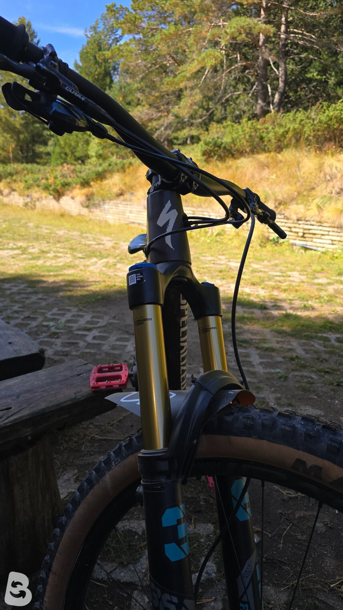 Specialized Stumpjumper EVO Pro 2022