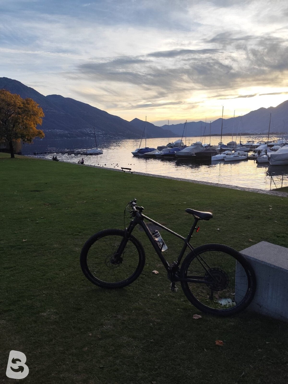 Canyon Exceed CF SL 8.0 Pro Race 2018