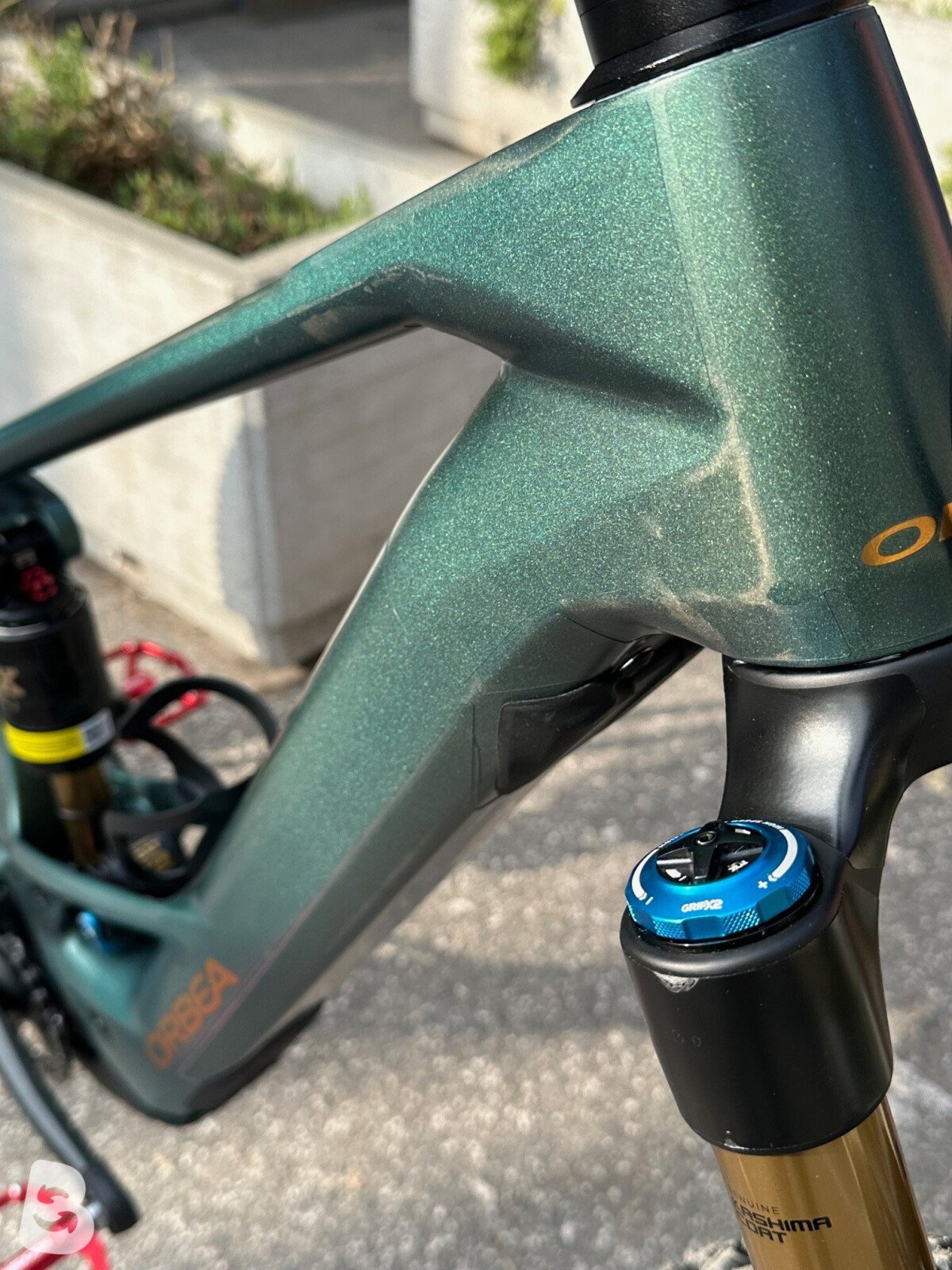 Orbea WILD M10 FOX KASHIMA 2026