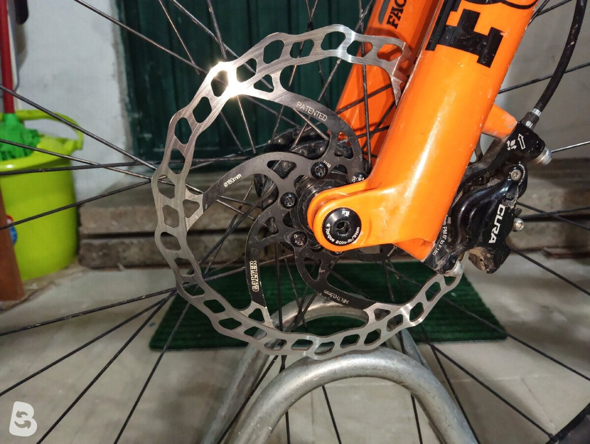 Torpado Renero 2024
