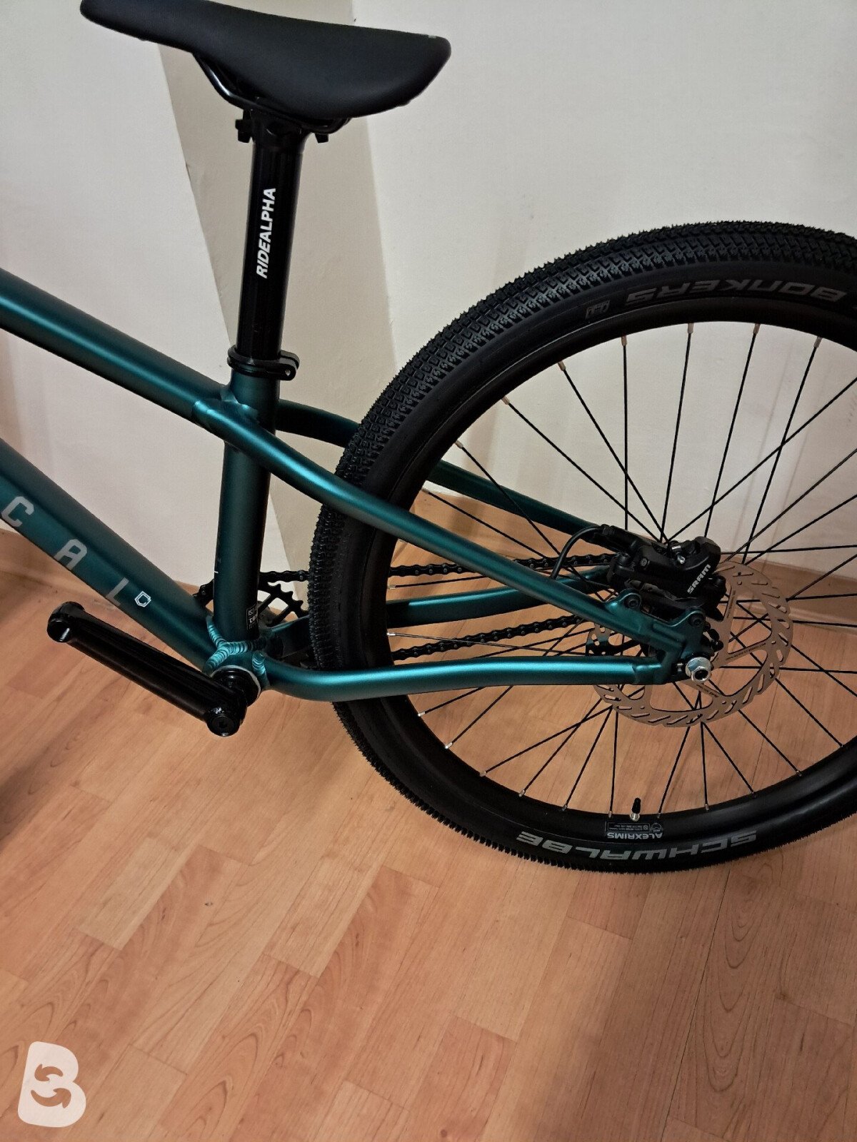Commencal Absolut 2025