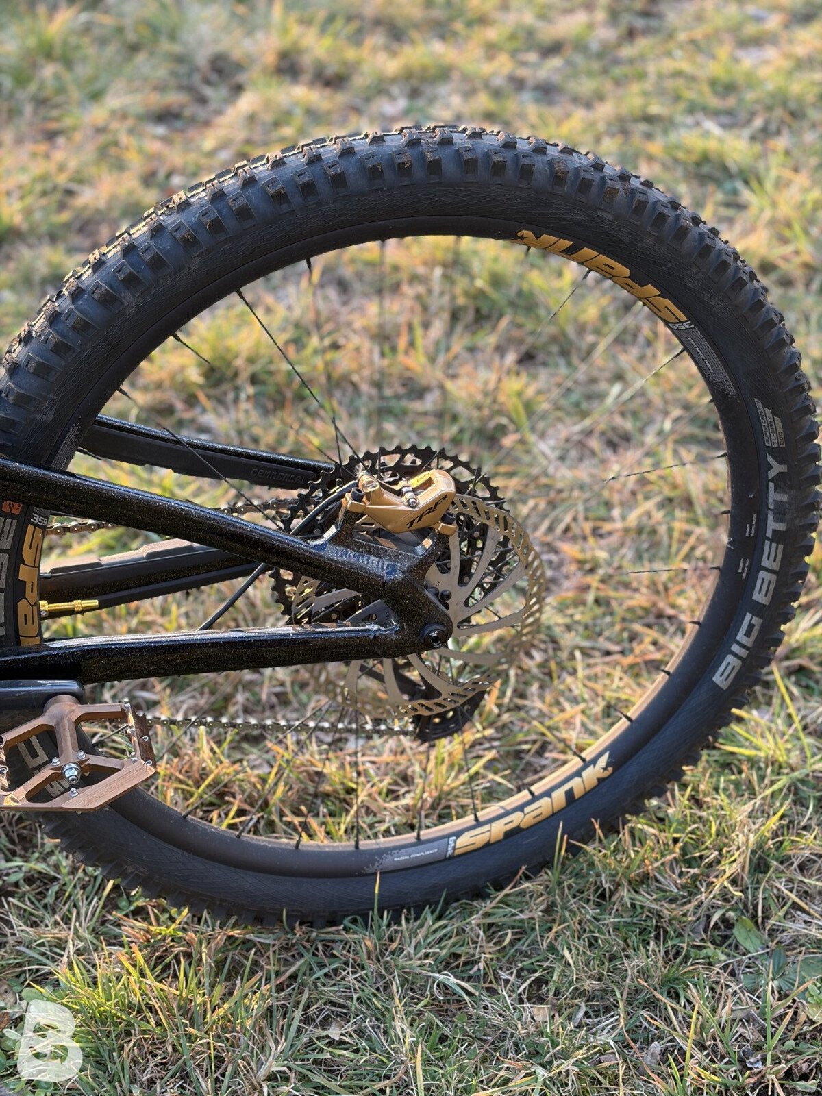 Commencal Meta SX V4 2024