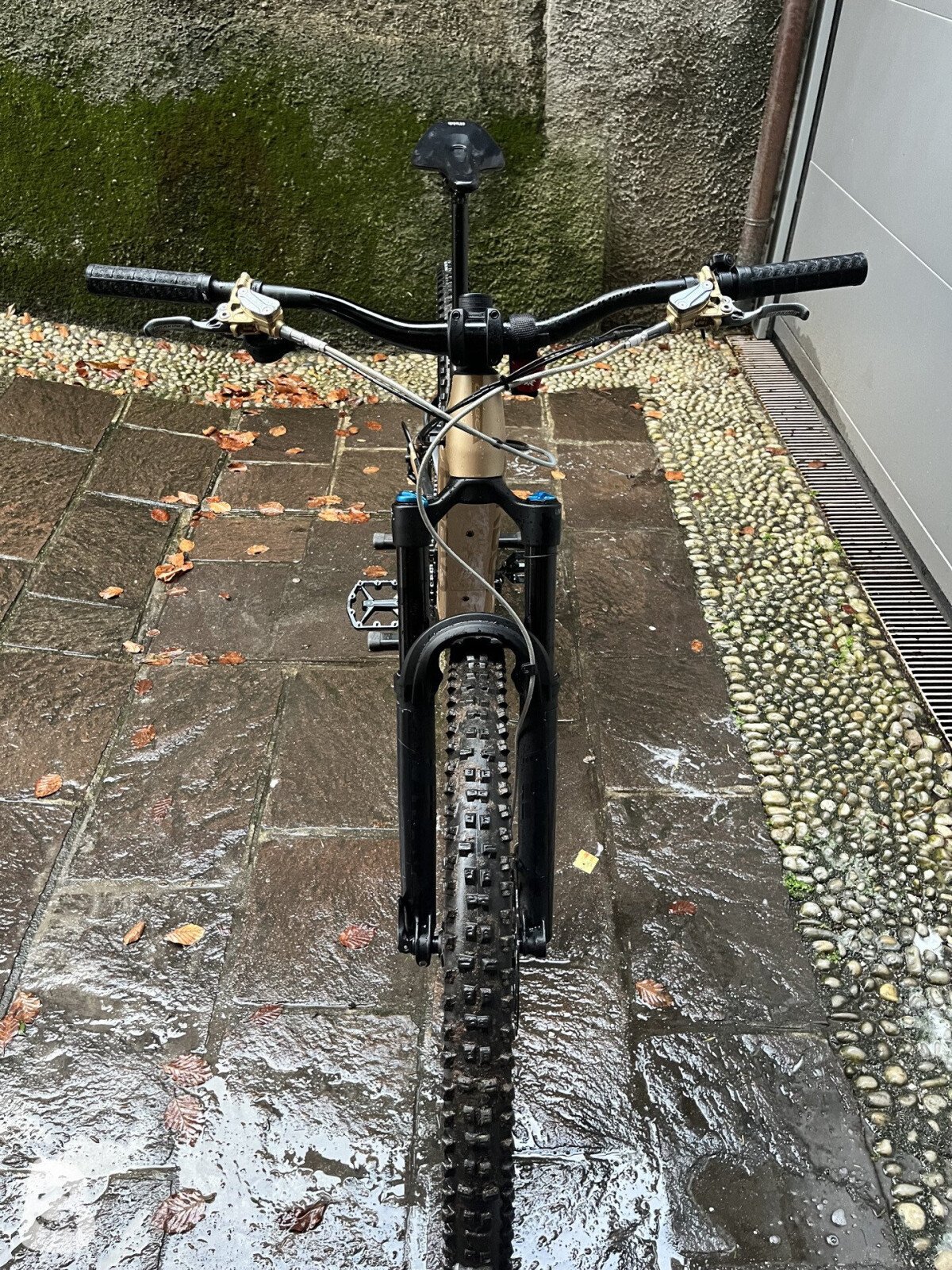 Orbea Rise H10 2024