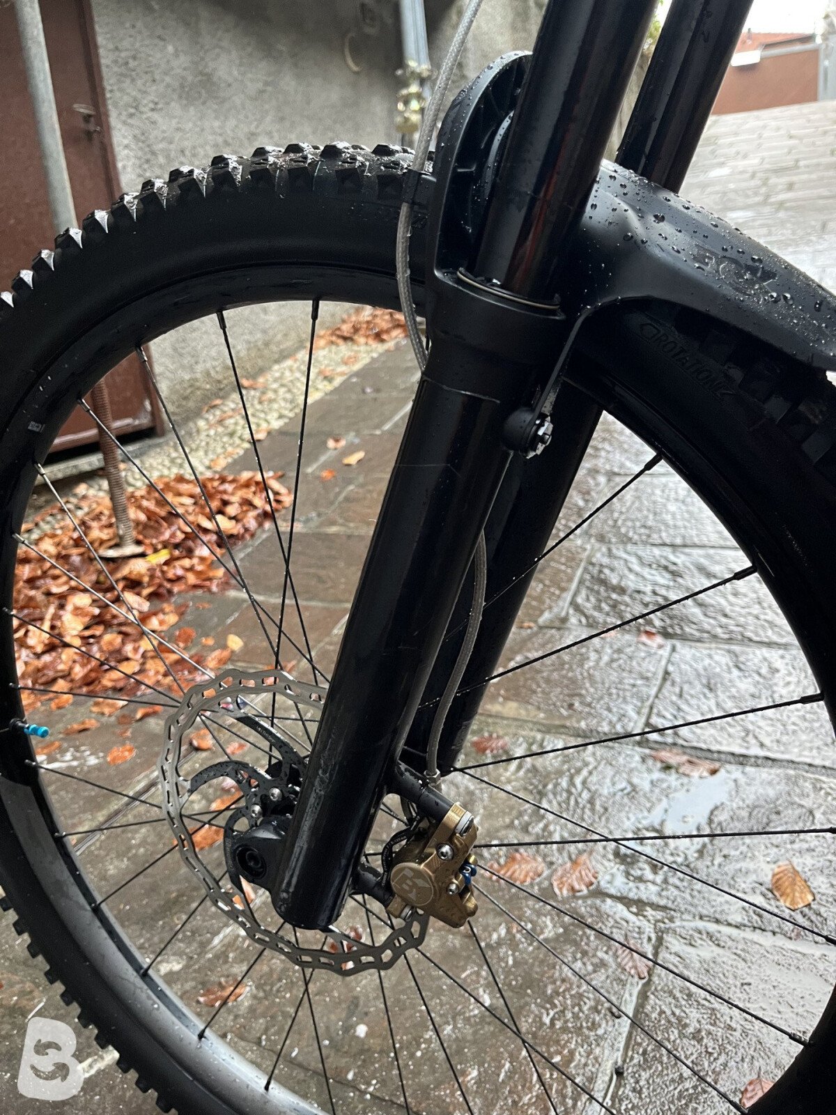 Orbea Rise H10 2024
