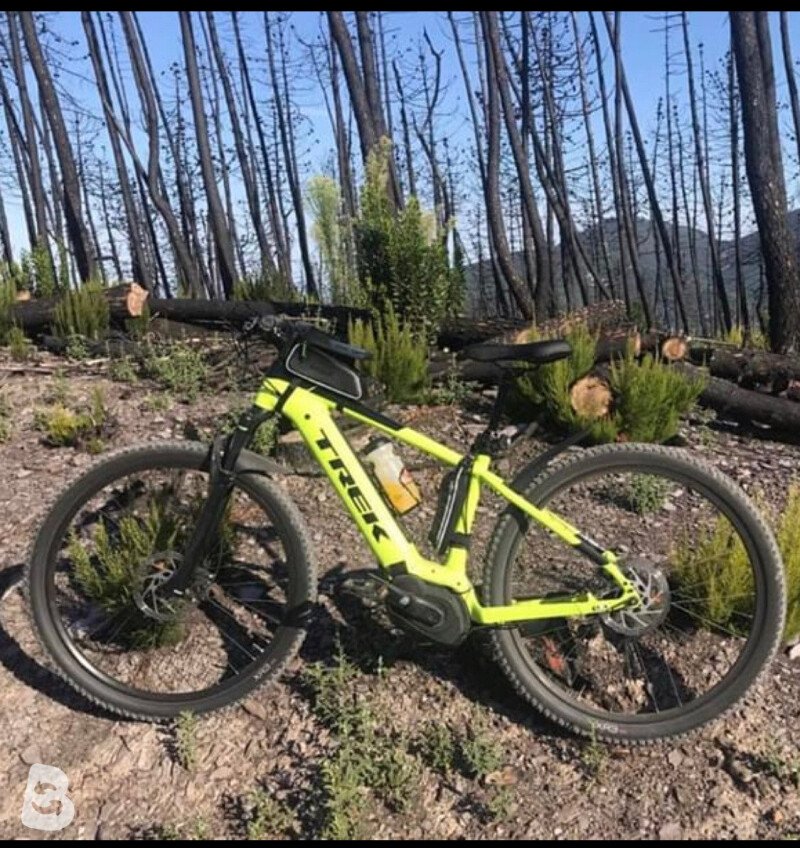 Trek Powerfly 5 2019