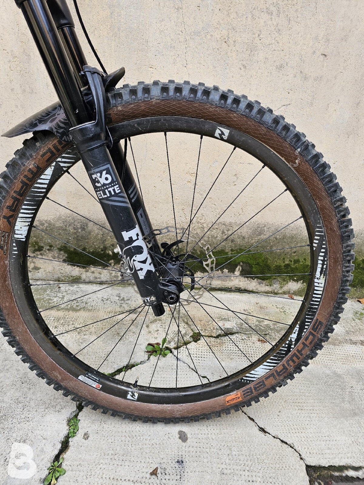 Canyon Strive CF 8.0 2019