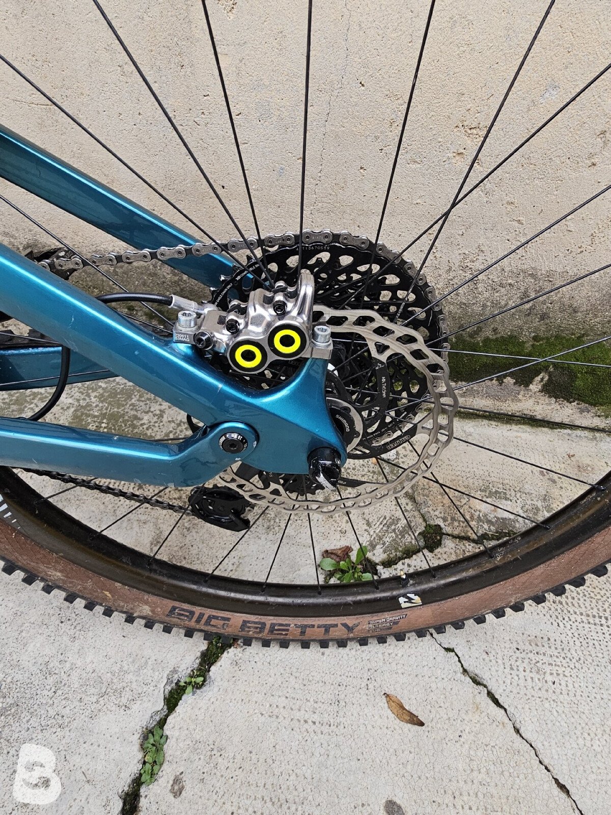 Canyon Strive CF 8.0 2019