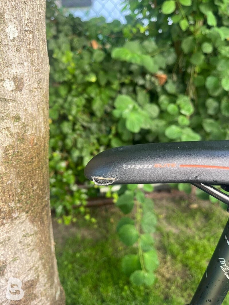 Bergamont Roxtar LTD Carbon 2016