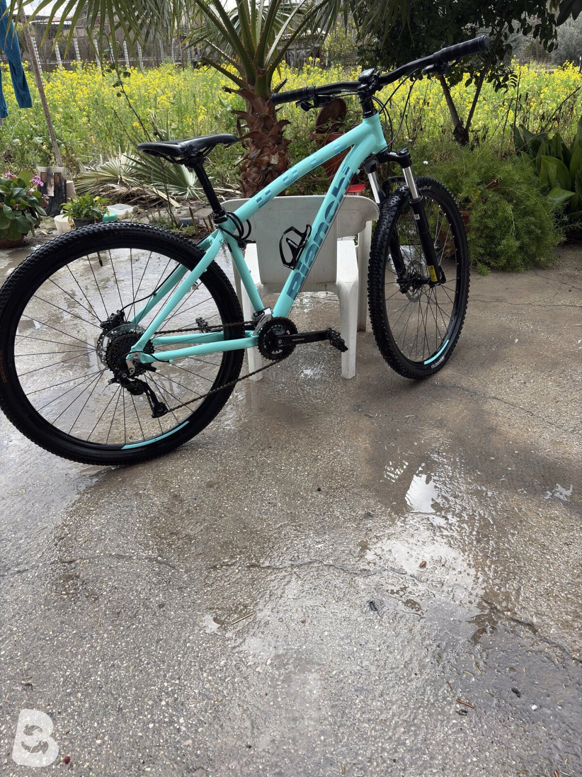 Bianchi Duel 29 2022