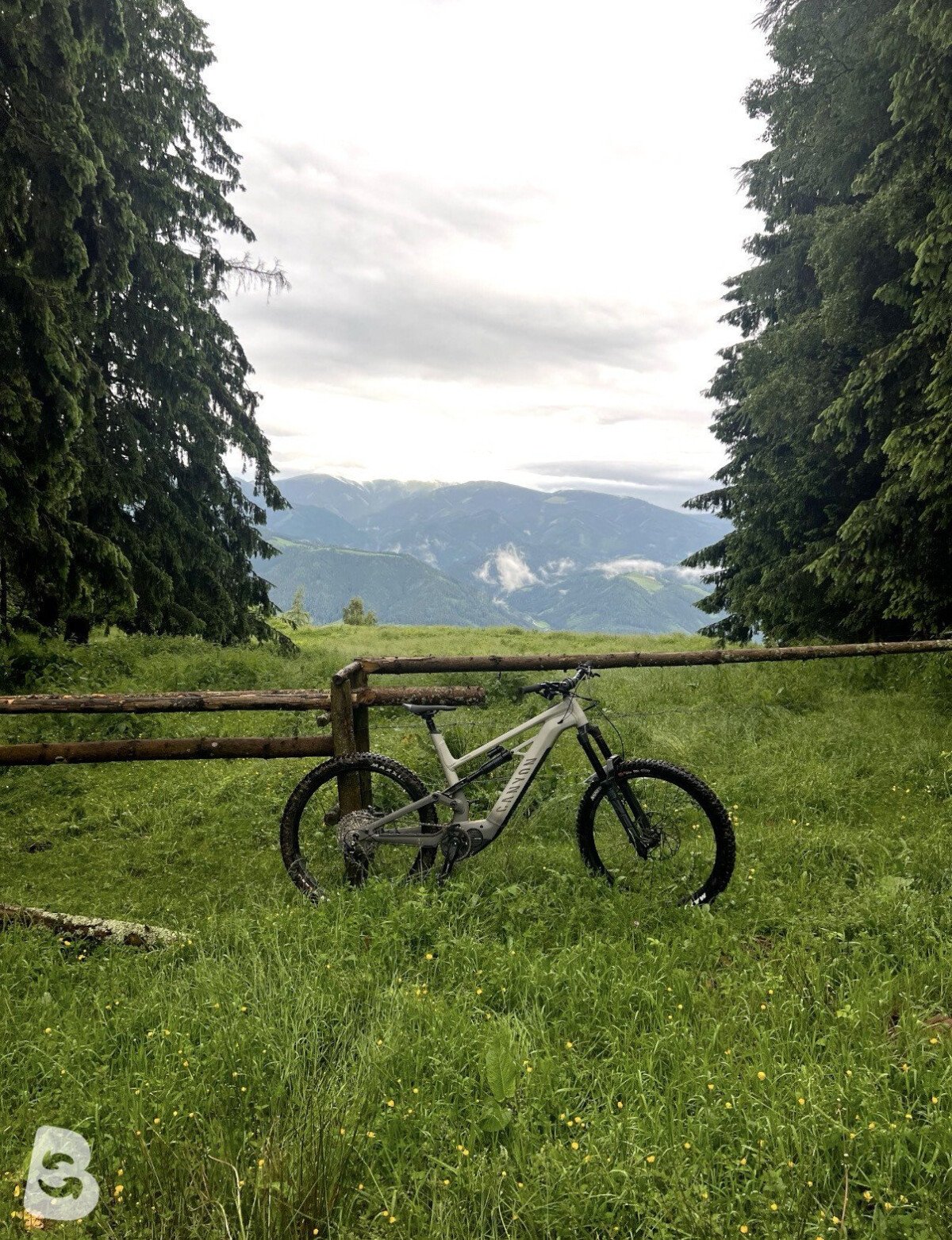 Canyon Torque:ON 8.0 2021