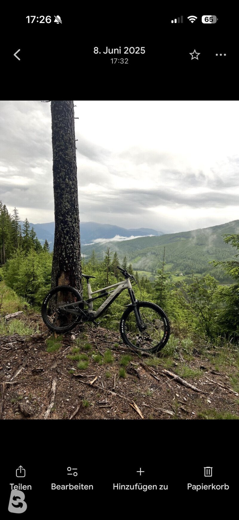 Canyon Torque:ON 8.0 2021